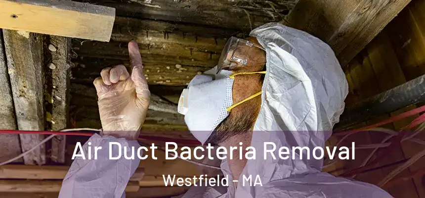  Air Duct Bacteria Removal Westfield - MA