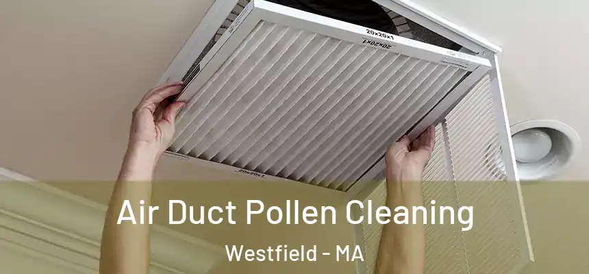  Air Duct Pollen Cleaning Westfield - MA