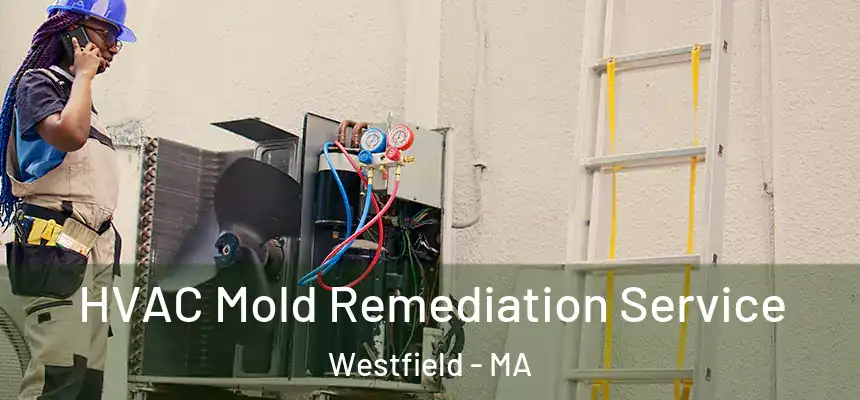  HVAC Mold Remediation Service Westfield - MA