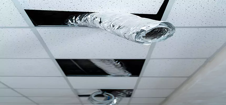 Our Air Duct Pet Hair Removal Services in Westfield, MA