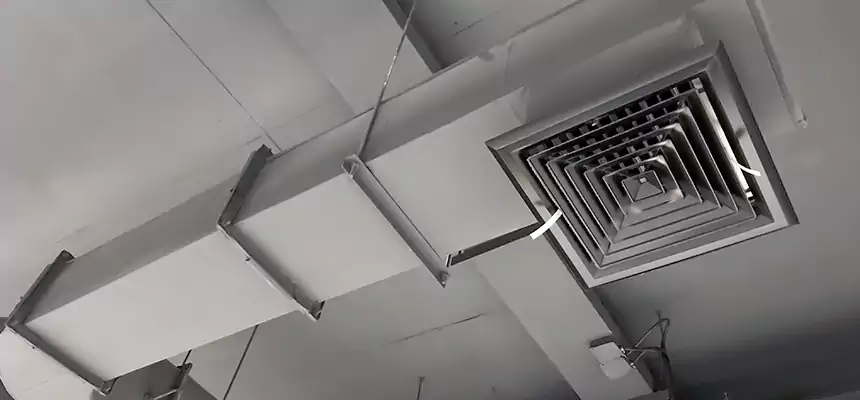 Our Pest Removal From Ducts Services in Westfield, MA