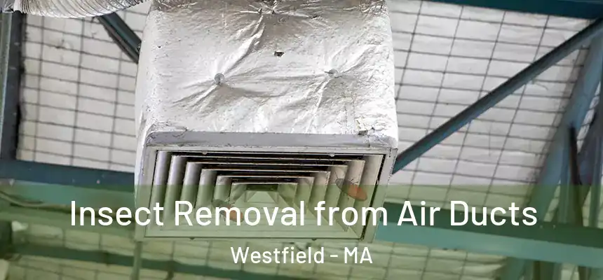  Insect Removal from Air Ducts Westfield - MA