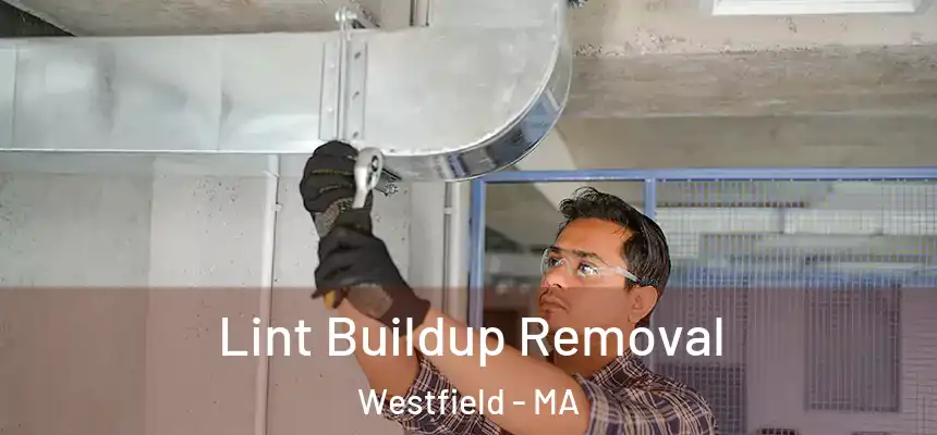  Lint Buildup Removal Westfield - MA