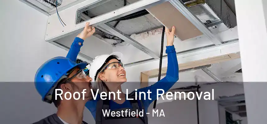  Roof Vent Lint Removal Westfield - MA