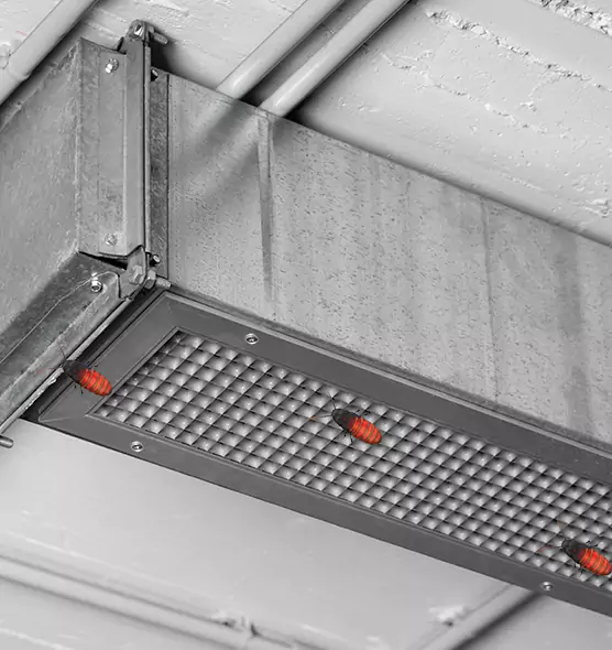 About Air Duct Cockroach Removal in Westfield, MA