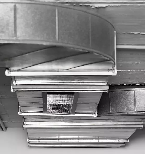 Professional Air Duct Pest Removal in Westfield, MA