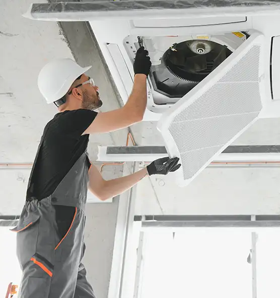 About Air Duct Rodent Removal in Westfield, MA