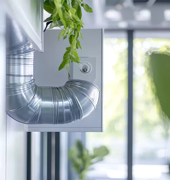 Professional Eco-Safe Dryer Vent Cleaning in Westfield, MA