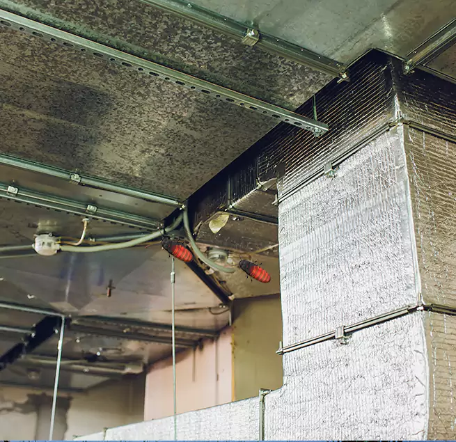 Why Homeowners & Businesses Trust Us in Westfield, MA?