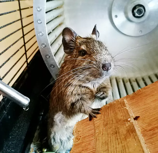 Why Homeowners & Businesses Trust Us Westfield, MA